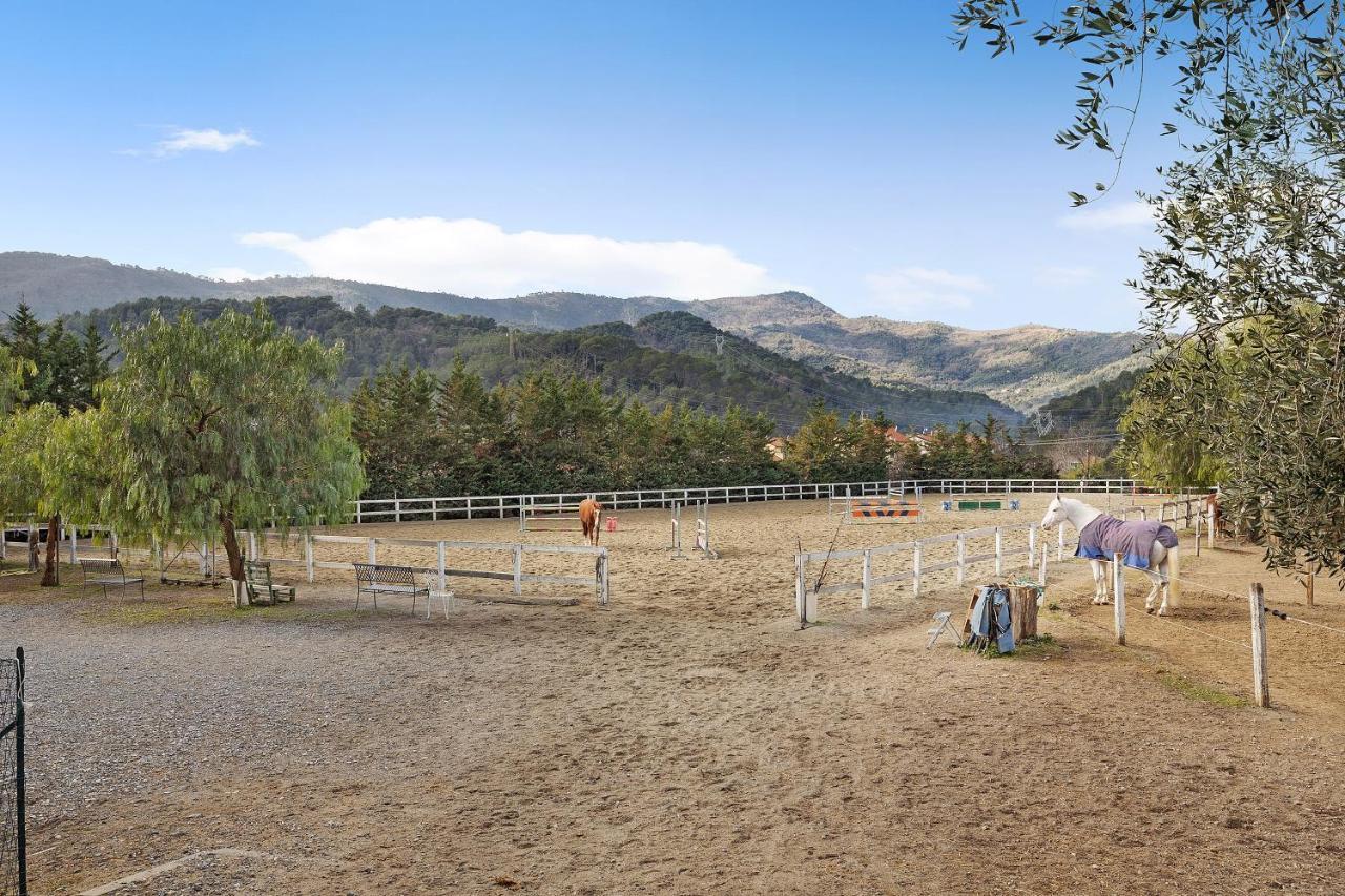 Messalina Agriturismo La Scuderia Molino Nuovo  외부 사진